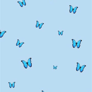 Meet your Posher, Nevaeh